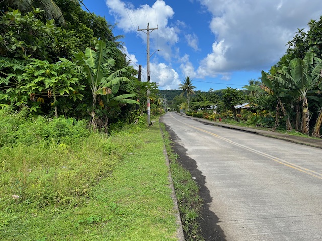 View of access road to the lots for sale in Malaeloa, American Samoa