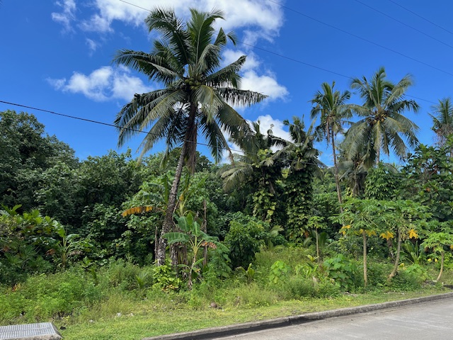 View of bare, lush land lots for sale in Malaeloa, American Samoa